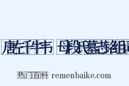 唐左千牛韦珮母段氏墓志铭组词是什么意思的图片
